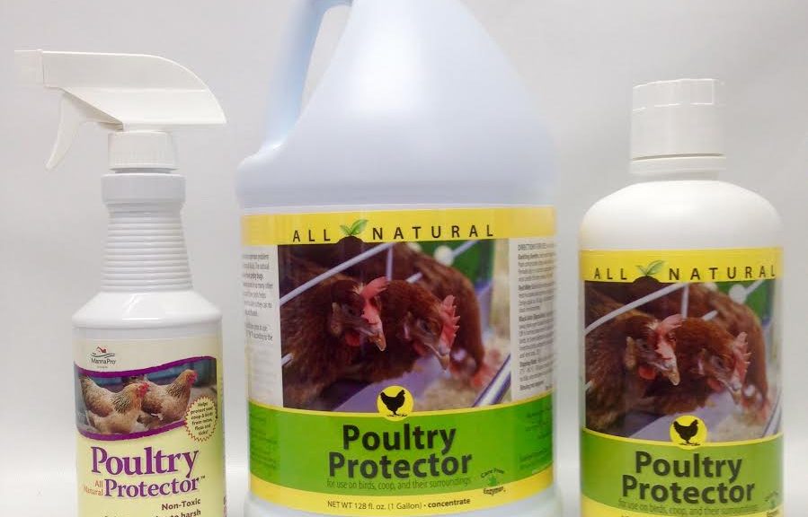 Poultry Parasite Control