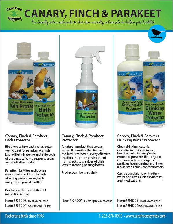 Canary, Finch & Parakeet